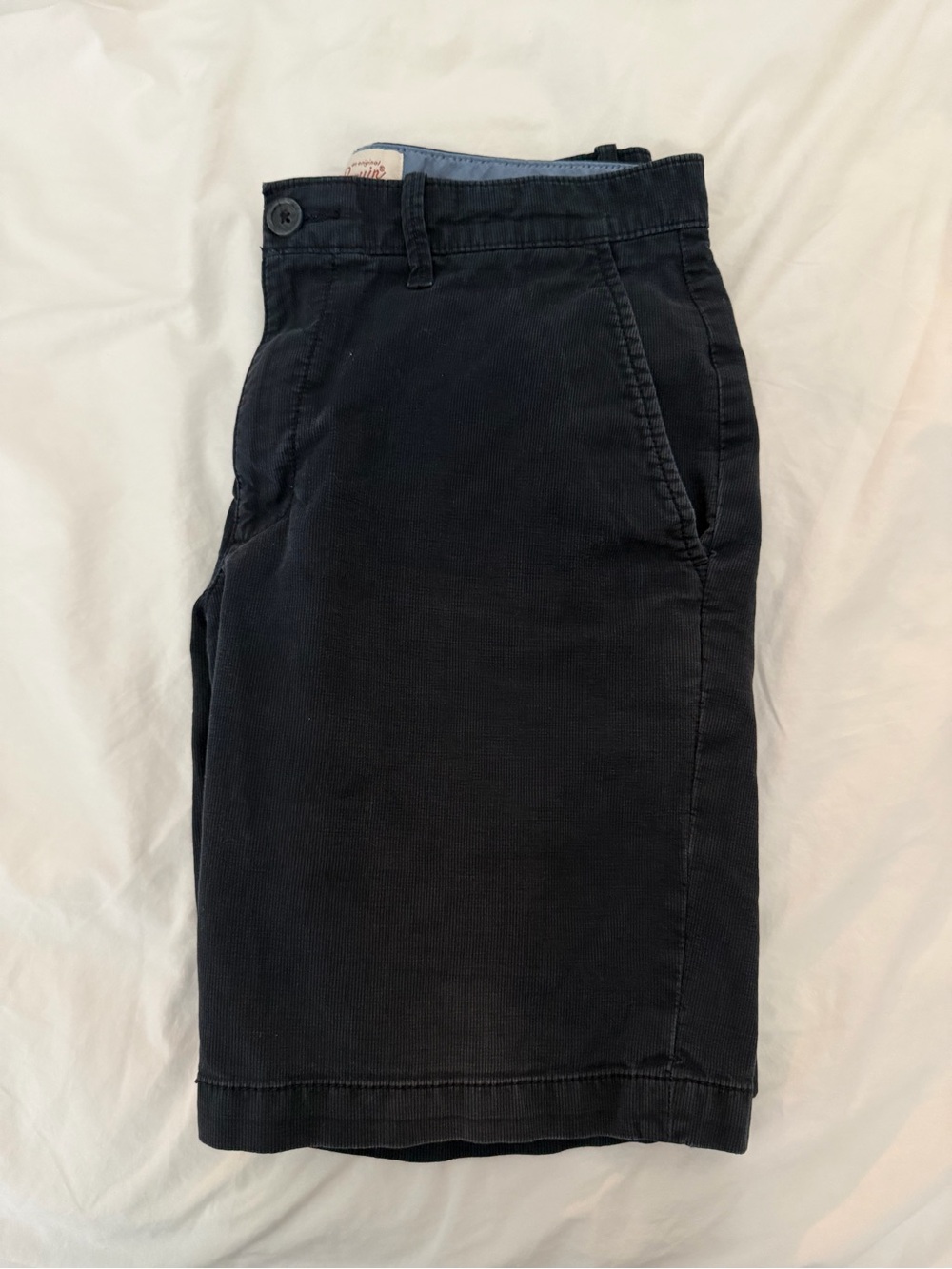 Penguin Navy Shorts